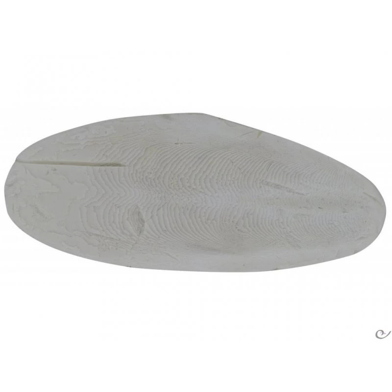 Os De Seiche, Qualité Prémium 5kg 4 Os De Seiche, Qualité Prémium 5kg – Image 2