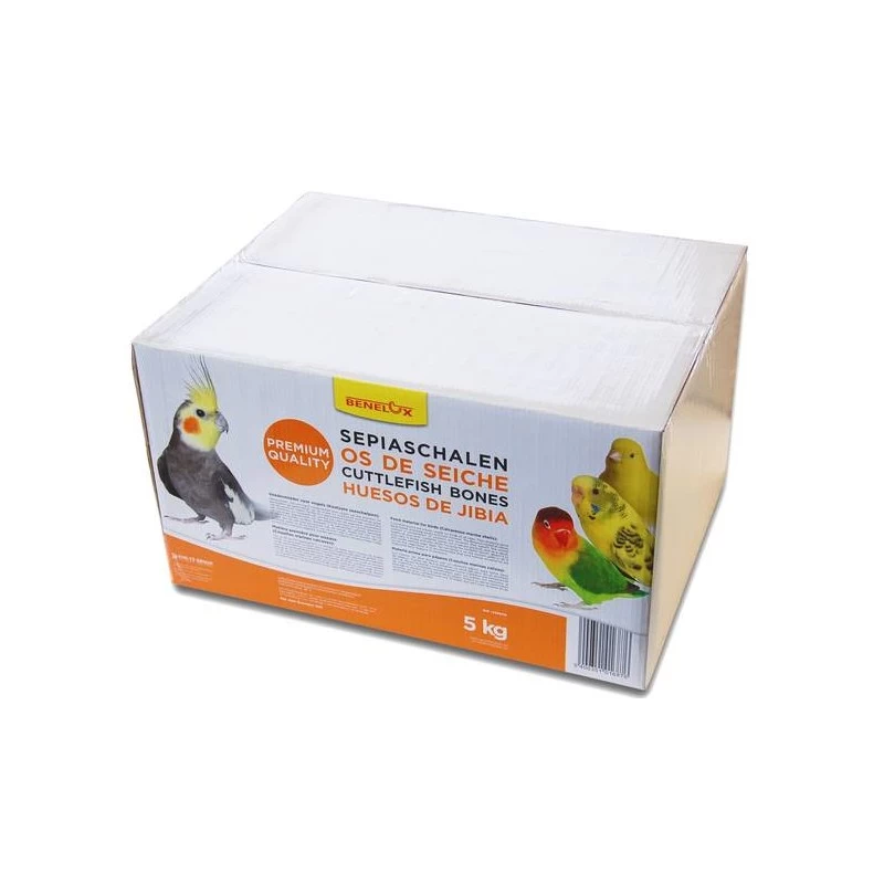 Os De Seiche, Qualité Prémium 5kg 3 Os De Seiche, Qualité Prémium 5kg