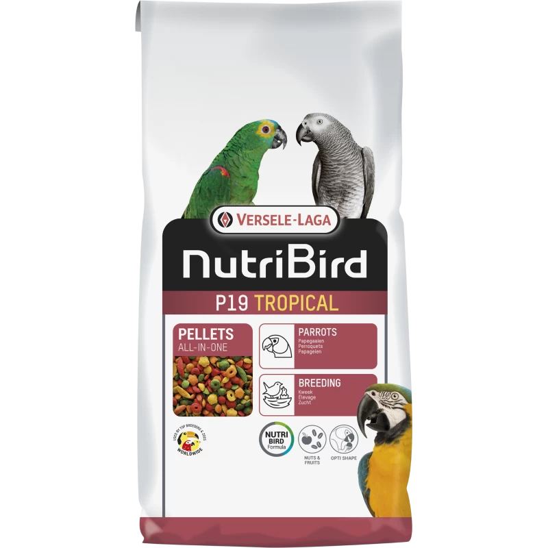 P19 Tropical Granulés Extrudés - Aliment D'élevage Pour Perroquets 10kg - Nutribird 3 P19 Tropical Granulés Extrudés - Aliment D'élevage Pour Perroquets 10kg - Nutribird
