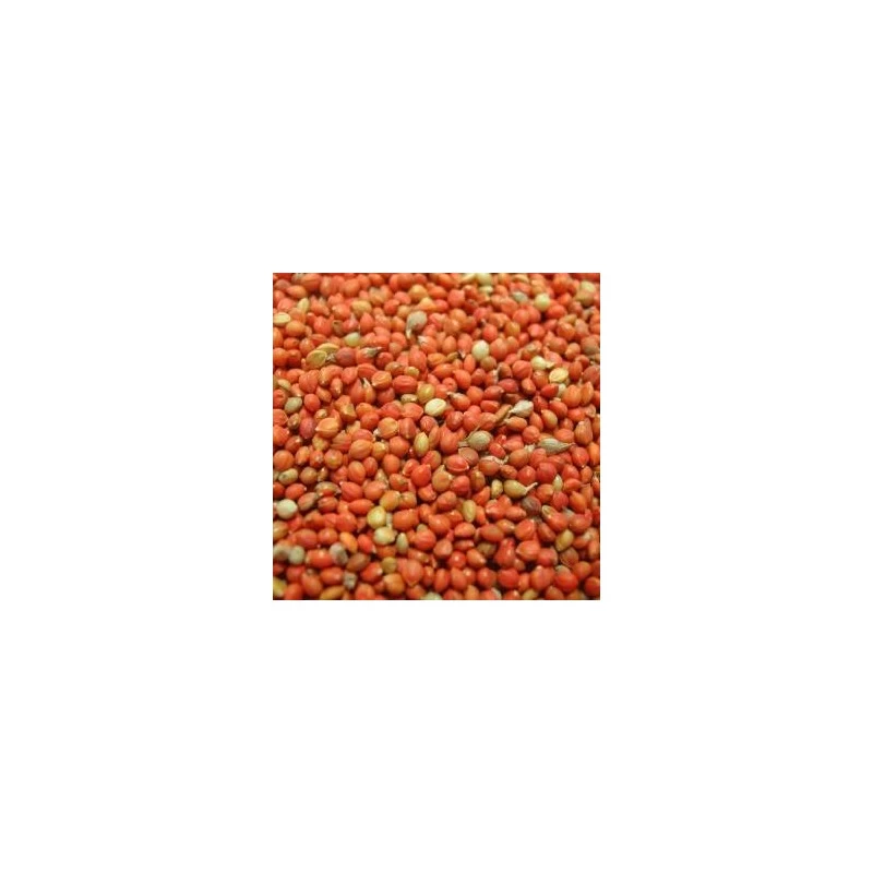 Panis Rouge 25kg - Beyers 4 Panis Rouge 25kg - Beyers – Image 2