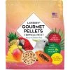 Pastilles Gourmandes Aux Fruits Tropicaux Ara 1,8kg - Lafeber's -Oiseaux Fournitures Magasin pastilles gourmandes aux fruits tropicaux ara 18kg lafebers lf52662 lafebers le lafeber gourmet pellets tropical fruit macaw est