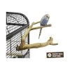 Perchoir Java Multi Perchoirs Premium 20cm X-Small - Back Zoo Nature -Oiseaux Fournitures Magasin perchoir java multi perchoirs premium 20cm x small back zoo nature zf1015 back zoo nature perchoir java multi perchoirs premium