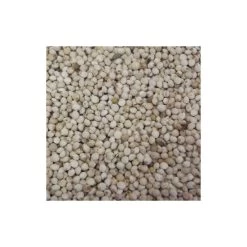 Deli Nature Perilla Blanc Au Kg - Ornibird -Oiseaux Fournitures Magasin perilla blanc au kg ornibird 003736 kg deli nature les graines de perilla contiennent environ 25 de lipides dont 65 dacide alpha 3