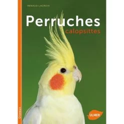 Perruches Calopsittes - Renaud LACROIX