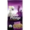 Prestige Loro Parque Australian Parrot Mix 15kg - Mélange De Graines + Granulés VAM - Perroquets Australiens 2 Prestige Loro Parque Australian Parrot Mix 15kg - Mélange De Graines + Granulés VAM - Perroquets Australiens -Oiseaux Fournitures Magasin prestige loro parque australian parrot mix 15kg melange de graines granules vam perroquets australiens 422213 prestige melange d