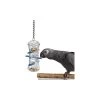 Push And Pull - Pousser Et Tirer 35,5cm - Avonturia 1 Push And Pull - Pousser Et Tirer 35,5cm - Avonturia -Oiseaux Fournitures Magasin push and pull pousser et tirer 355cm avonturia ca00753 back zoo nature push and pull pousser et tirerremplissez le dessus avec l