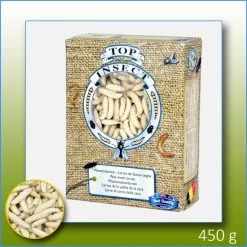 Teignes De Ruches (insectes Congelés) 450gr - Top Insect 5 Teignes De Ruches (insectes Congelés) 450gr - Top Insect -Oiseaux Fournitures Magasin teignes de ruches insectes congeles 450gr top insect topins teigne nusect top insect les teignes de ruches etant des produits co 1