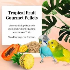 Tropical Fruit Gourmet Pellets Perruche 1,8kg - Lafeber's -Oiseaux Fournitures Magasin tropical fruit gourmet pellets perruche 18kg lafebers lf52632 lafebers le lafeber gourmet pellets tropical fruit perruche est un 1