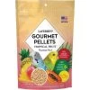 Tropical Fruit Gourmet Pellets Perruche 567gr - Lafeber's -Oiseaux Fournitures Magasin tropical fruit gourmet pellets perruche 567gr lafebers lf52630 lafebers le lafeber gourmet pellets tropical fruit perruche est u
