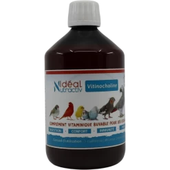 Vitinocholine Liquide 500ml - Idéal Nutricare
