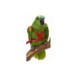 XXLarge Harnais Rouge - The Aviator Flight Line