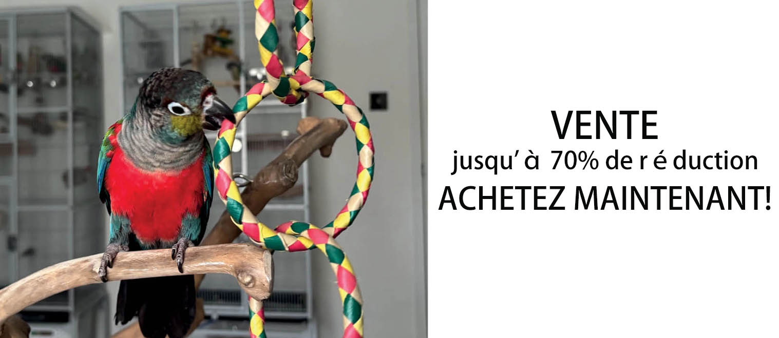 Oiseaux Fournitures Magasin -Oiseaux Fournitures Magasin DFGDG